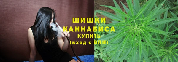прущие крисы Пересвет