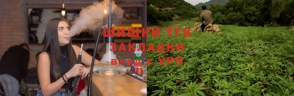 гидропоника Пестово