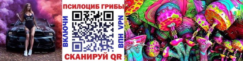 мориарти официальный сайт  Полярный  Псилоцибиновые грибы мухоморы 